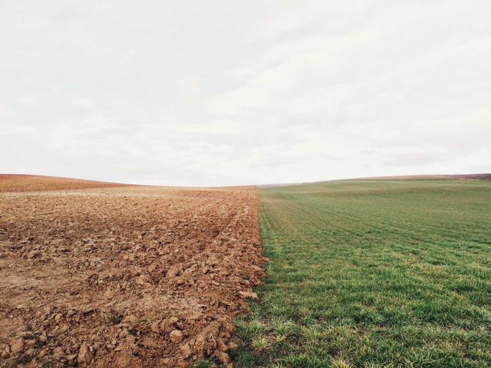 Lavori in campagna 2022